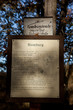 Erklärungstafel Homburg Hexentanzplatz