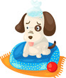 cute sick dog