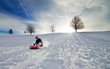 winterfreuden