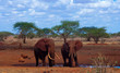 Photo: Two elephants drink, surrounded by red earth ( Kenya ) Two elephants drink, surrounded by red earth ( Kenya )