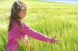 Little girl in wheat field