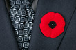 Photo: Remembrance Day poppy on suit Remembrance Day poppy on suit