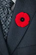 Photo: Remembrance Day poppy on suit Remembrance Day poppy on suit