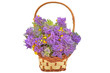 Melampyrum nemorosum flowers in a basket