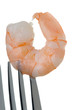 prawn on a fork