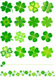 four leaf clover