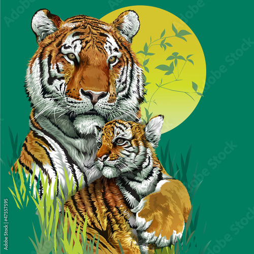 Vector: Tiger family in jungle. Vector illustration Tiger family in jungle. Vector illustration
