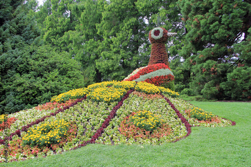 Photo: Île de la Mainau Île de la Mainau