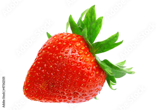 Photo: Single fresh strawberries. Isolated Single fresh strawberries. Isolated