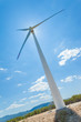Windmill