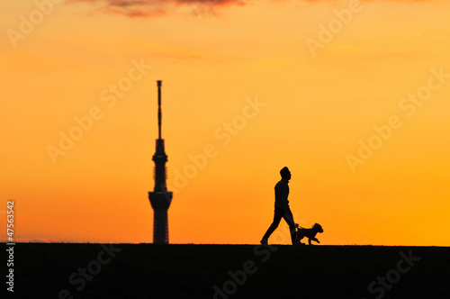 Photo: イヌの散歩 イヌの散歩