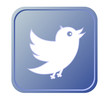 Vector: Blue button with bird icon Blue button with bird icon