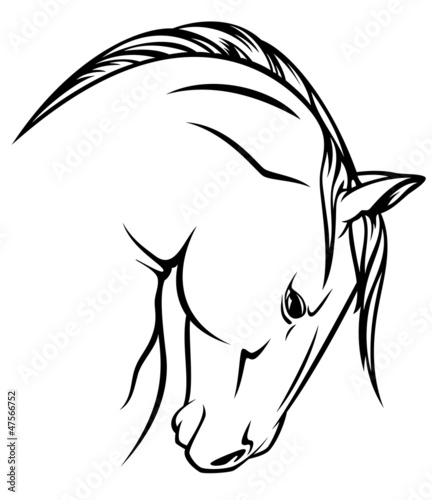 Vector: horse profile vector outline horse profile vector outline