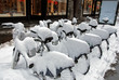 City bikes for rent in snow