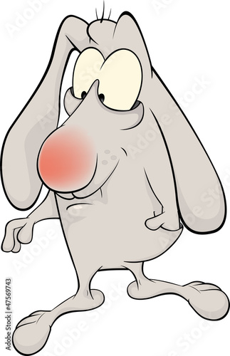 Vector: rabbit cartoon rabbit cartoon