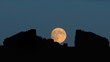 Moldova Chisinau Gates moonrise