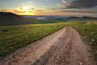 Dirt Road In Meadow At Daybreak