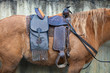 Photo: silla de montar silla de montar