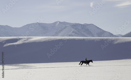 Photo: winteridylle mit reiter winteridylle mit reiter
