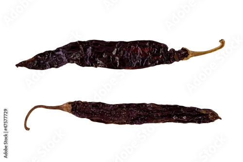 Photo: Chile Negro Chile Negro