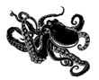 Vector: Ocean octopus Ocean octopus