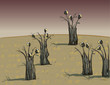 Crows on Trees : on Dark Background