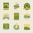 Wheat labels and badges. Set of logo templates