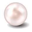 Pearl vector illustration