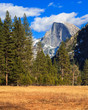 Yosemite Landscape with Half Dome