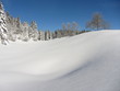 Paysage enneigé 8