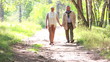 Late summer walk