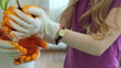 Video: Life cycle Life cycle