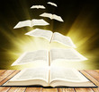 Photo: Book Book