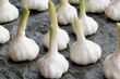 Foto: Knoblauch Knoblauch
