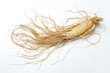 Ginseng root