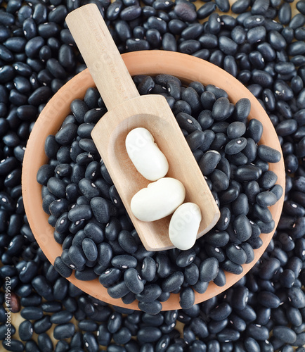 Photo: black and white beans black and white beans