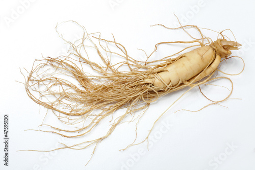 Photo: Ginseng root Ginseng root