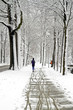 People jogging in winter in the forest