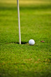 golf ball on lip of cup