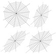 Vector illustration of cobweb