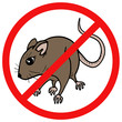 No rats