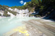 Geothermal Landscape - Rotorua, New Zealand