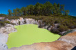 Devil's Bath, Wai-O-Tapu Thermal Wonderland, Rotorua, New Zealan