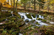Selkewasserfall im Harz