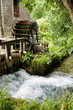 Sur les bords de la Veule