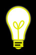 light bulb