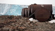 Foto: Rusty fuel and chemical drums on Arctic coast Rusty fuel and chemical drums on Arctic coast
