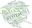 Word cloud for Biological system