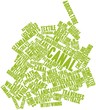 Word cloud for Canal