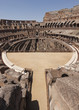 Coliseo de Roma